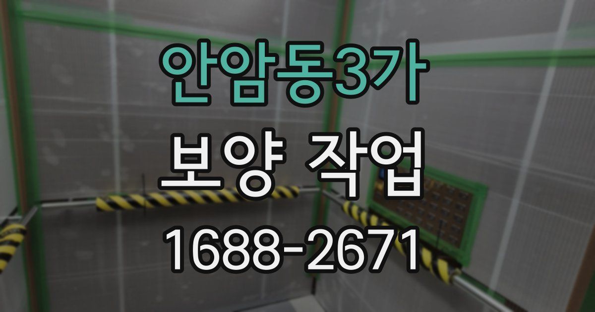 안암동3가 보양 작업