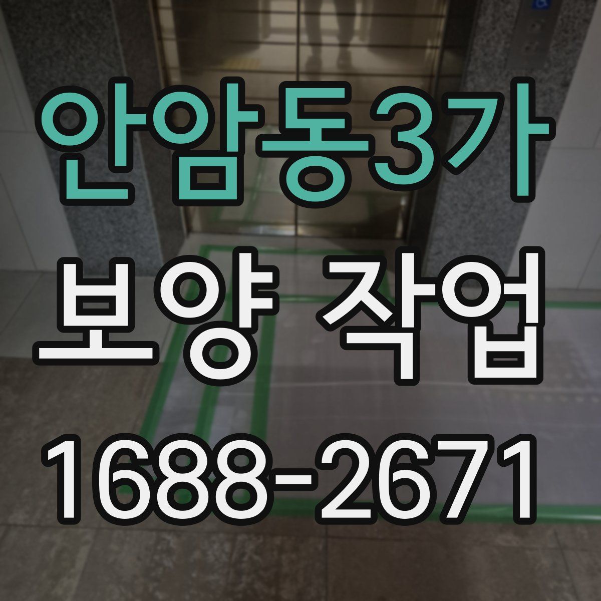 안암동3가 보양 작업