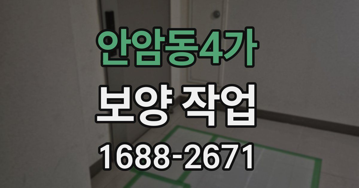 안암동4가 보양 작업