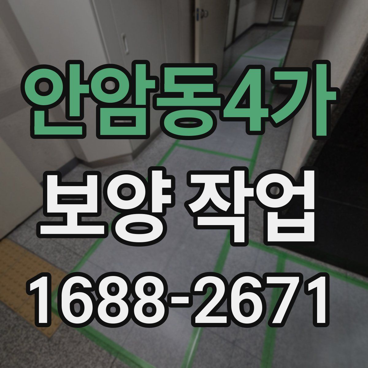 안암동4가 보양 작업