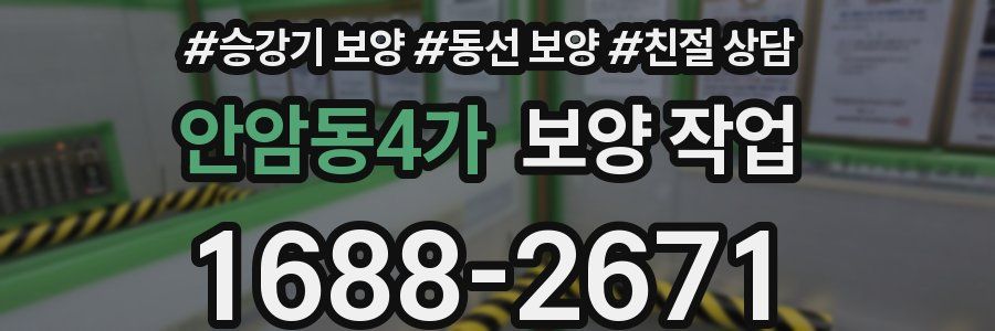 안암동4가 보양 작업