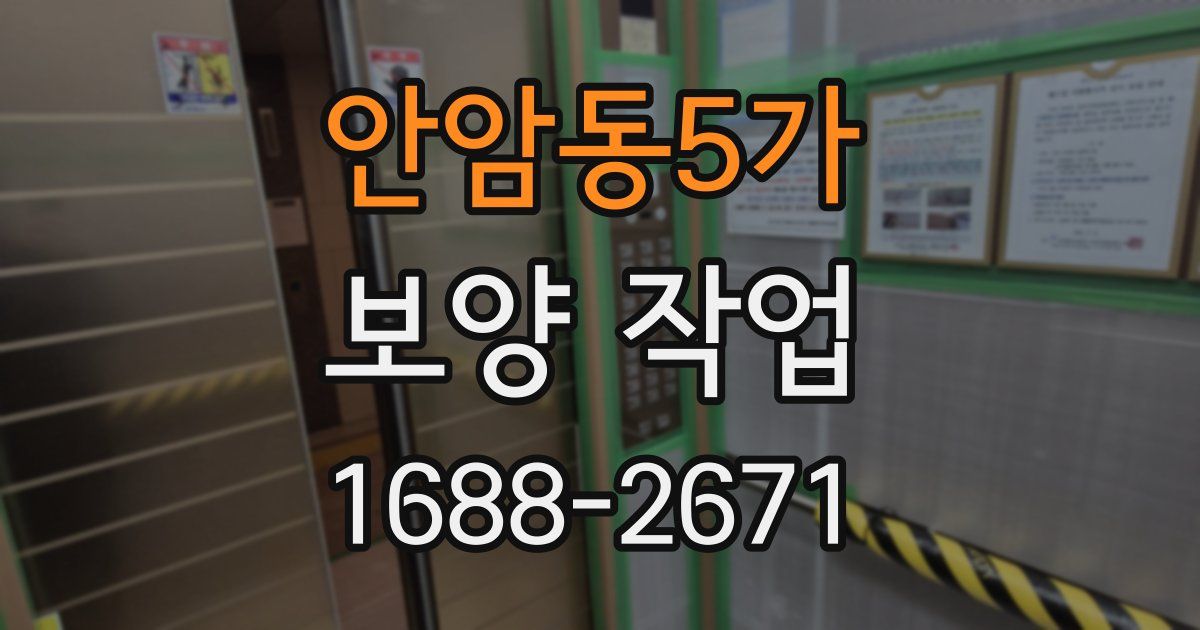 안암동5가 보양 작업