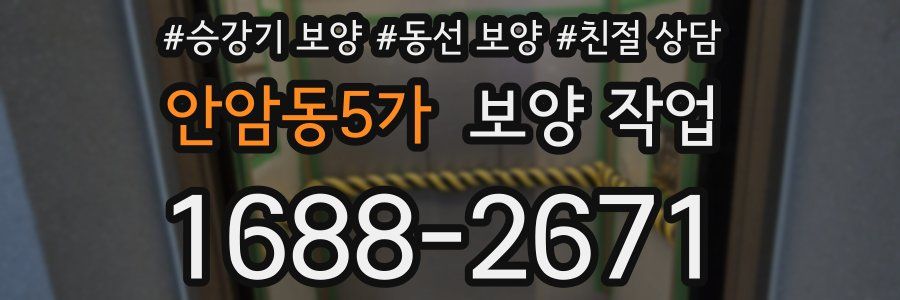 안암동5가 보양 작업