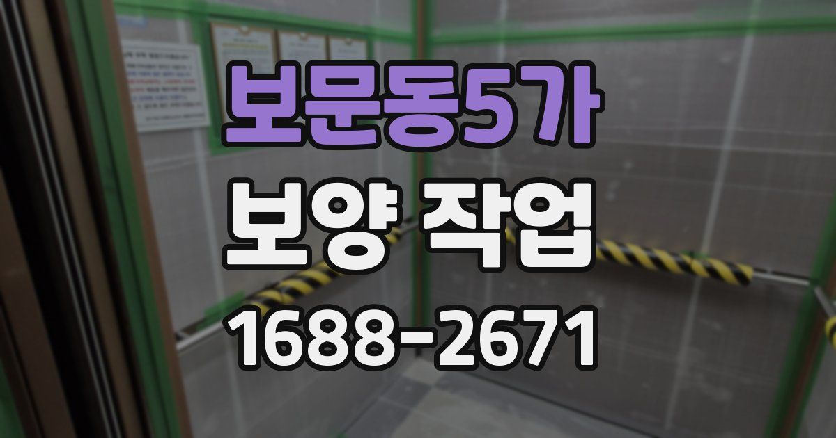 보문동5가 보양 작업