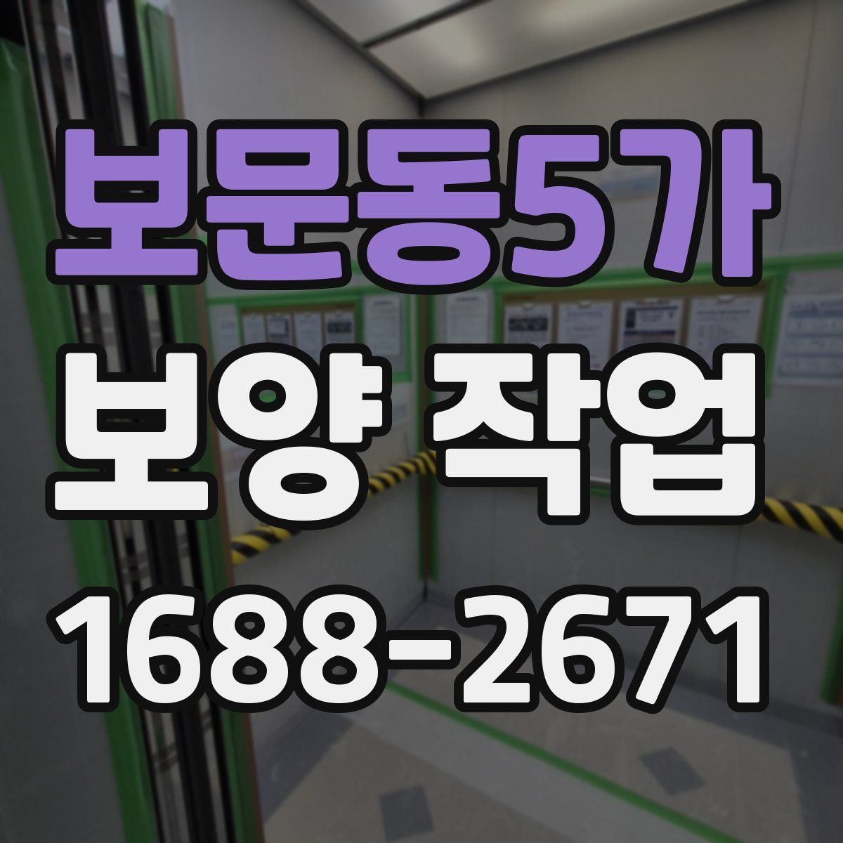 보문동5가 보양 작업