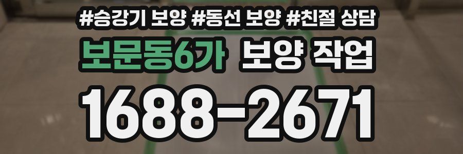 보문동6가 보양 작업
