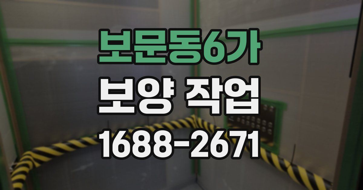 보문동6가 보양 작업
