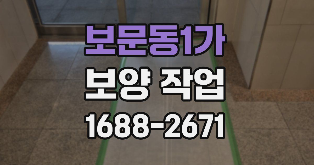보문동1가 보양 작업