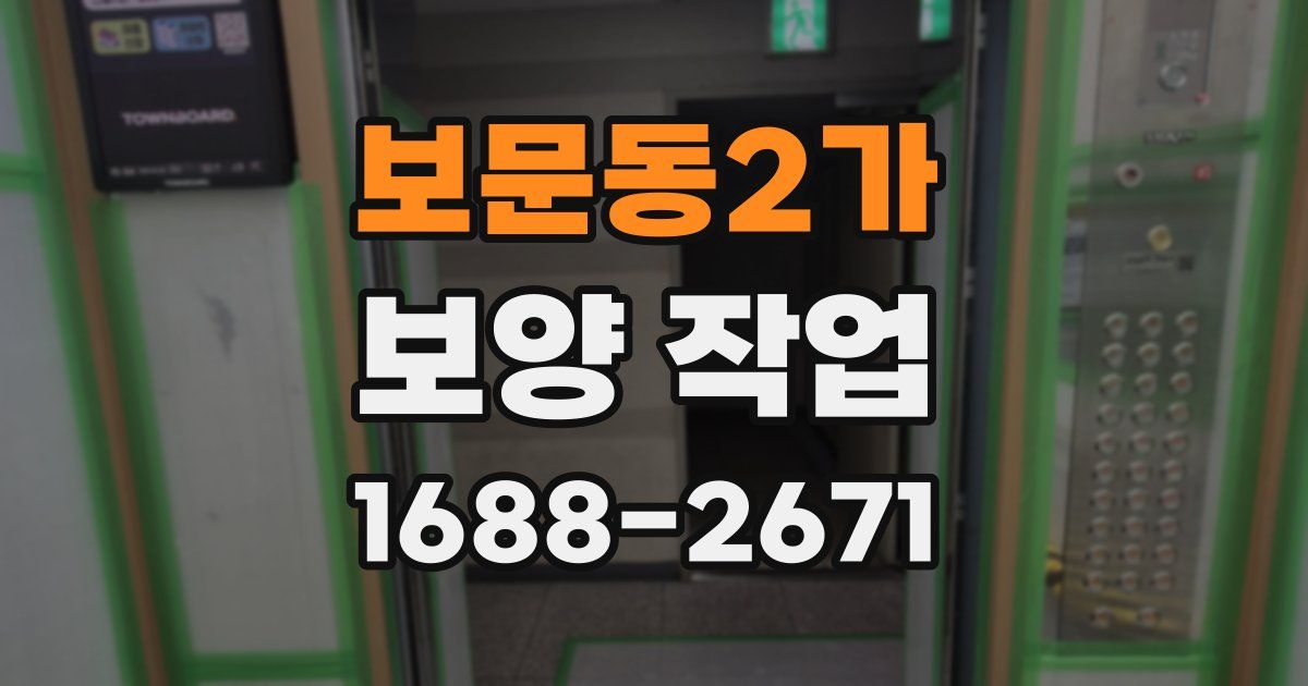 보문동2가 보양 작업