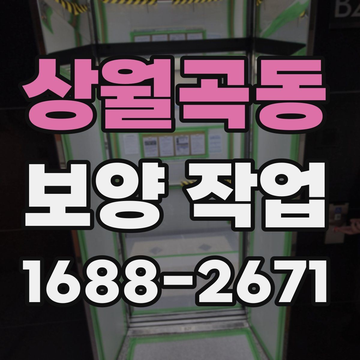 상월곡동 보양 작업 시공 사례로 보는 핵심 포인트