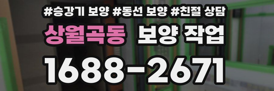 상월곡동 보양 작업
