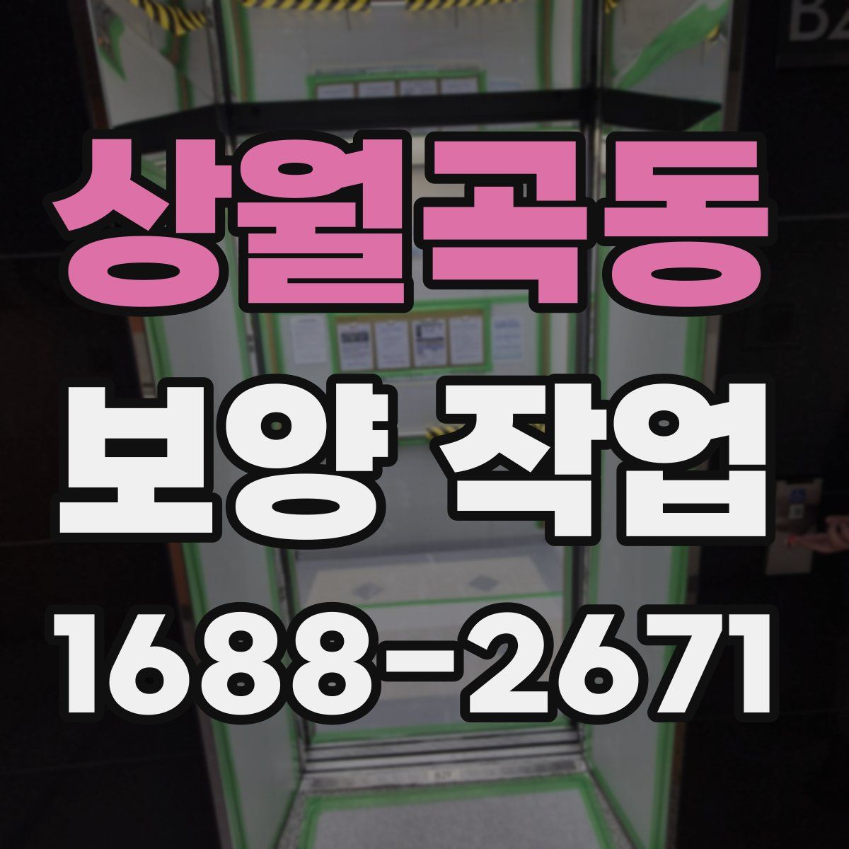 상월곡동 보양 작업