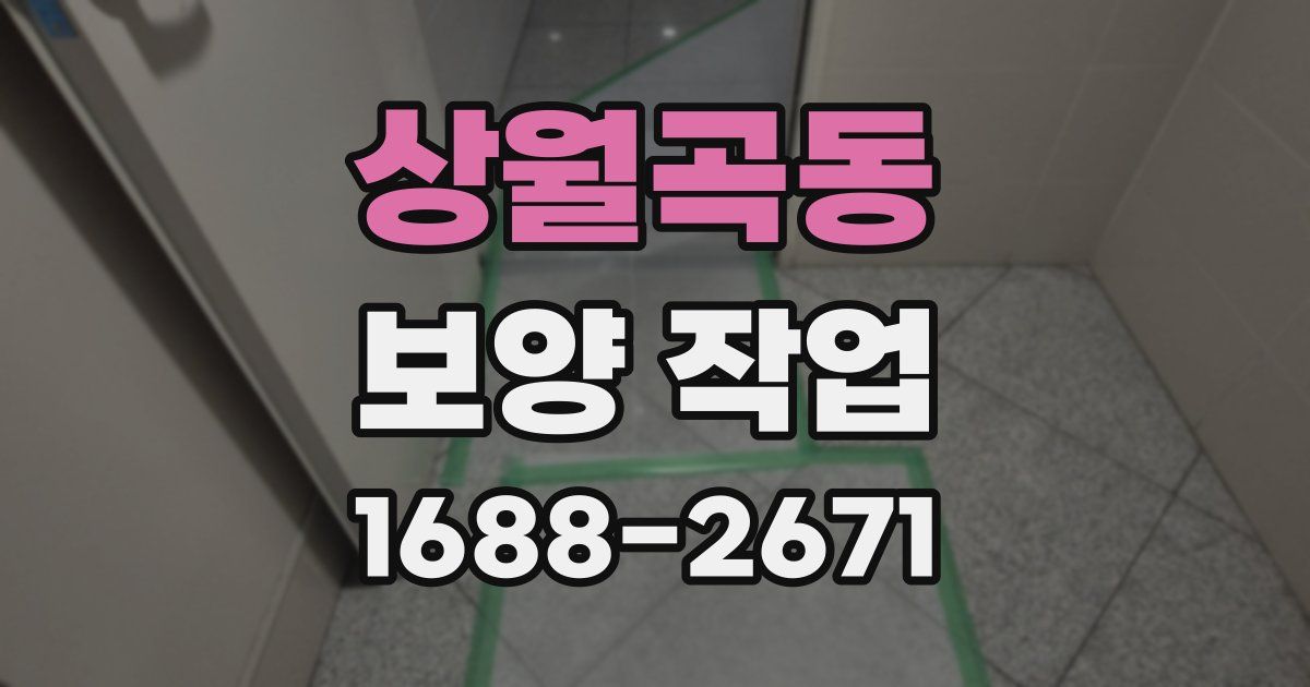 상월곡동 보양 작업