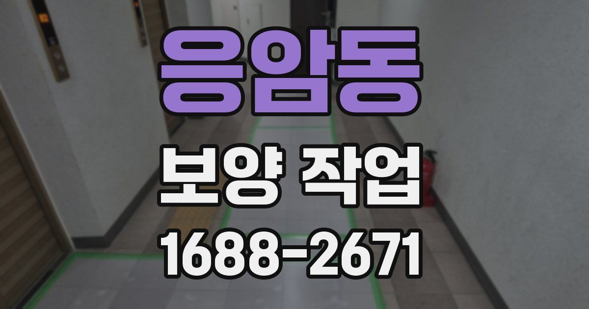 응암동 보양 작업