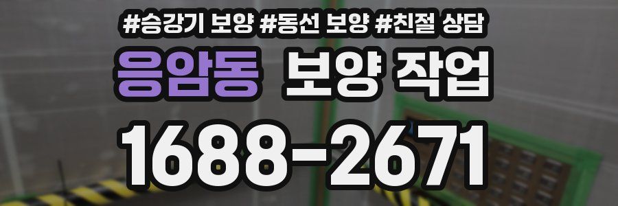 응암동 보양 작업