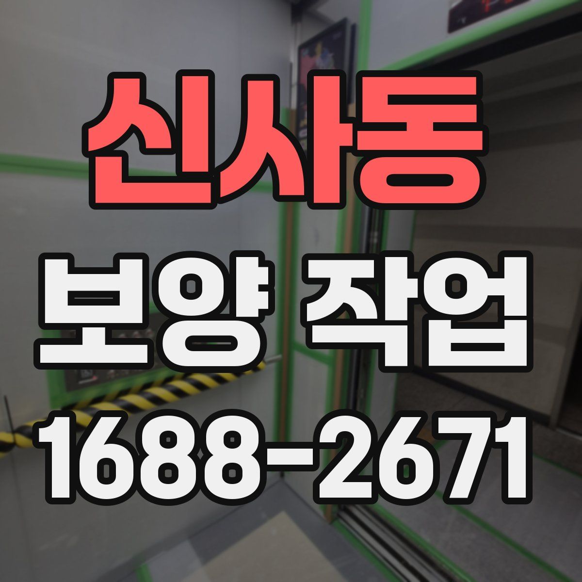 신사동 보양 작업
