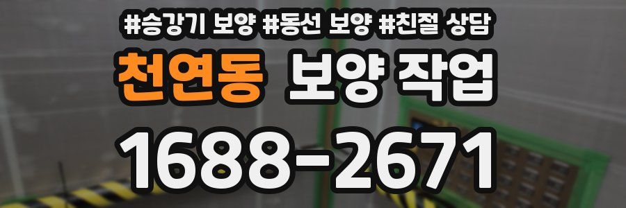 천연동 보양 작업