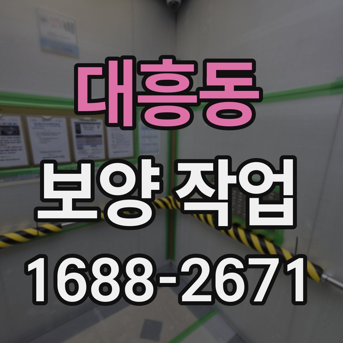 대흥동 보양 작업
