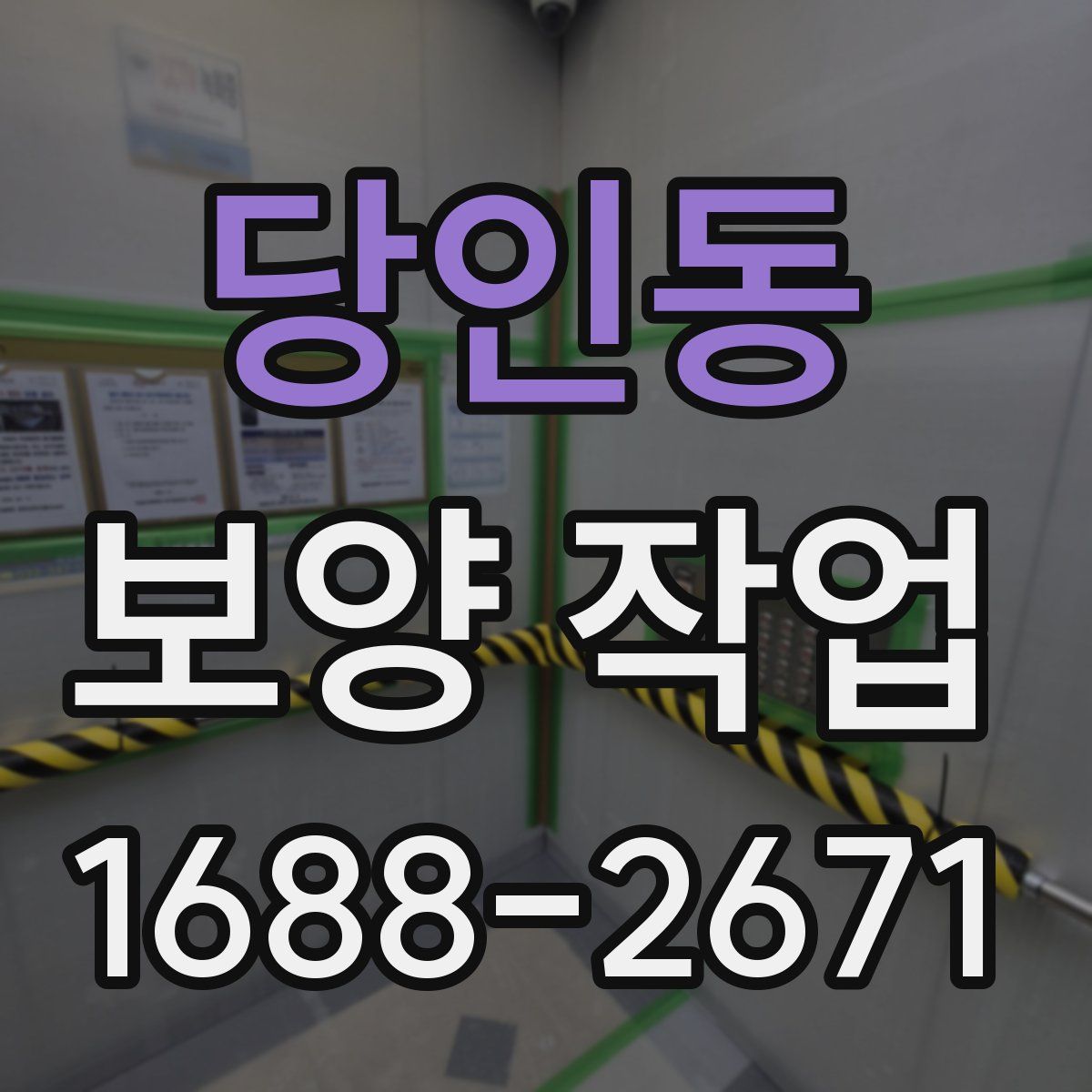 당인동 보양 작업