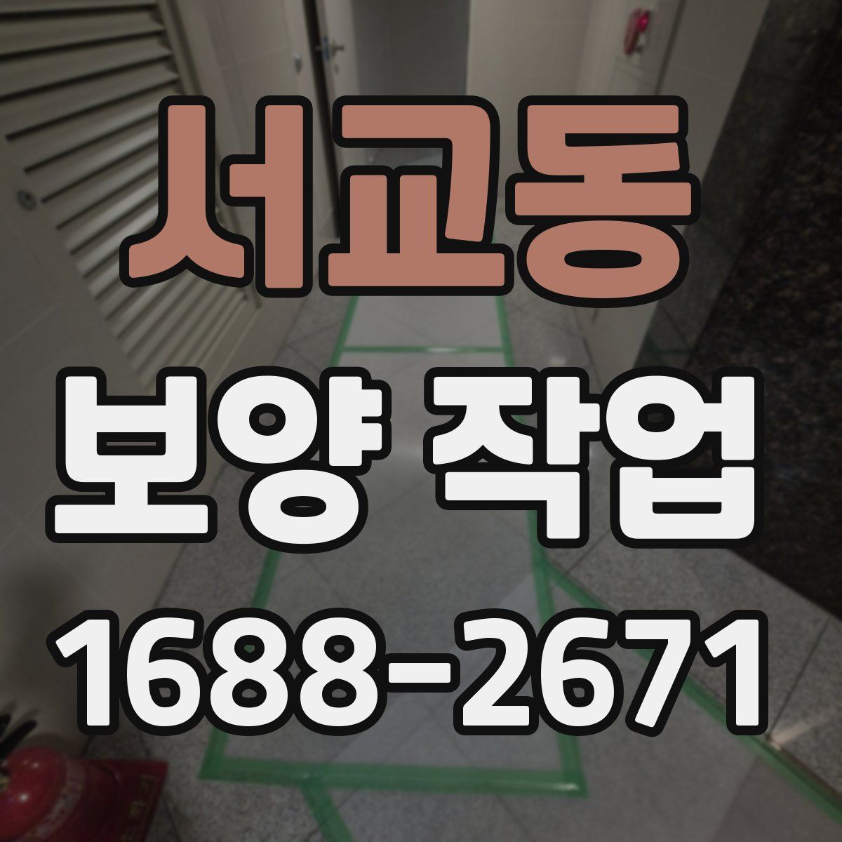 서교동 보양 작업