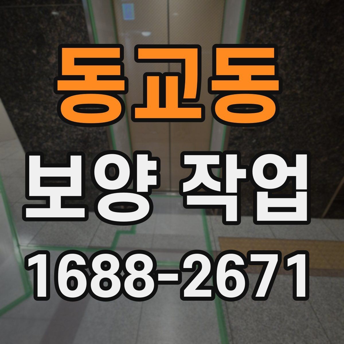 동교동 보양 작업 품질 차이를 만드는 디테일