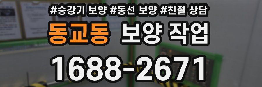 동교동 보양 작업