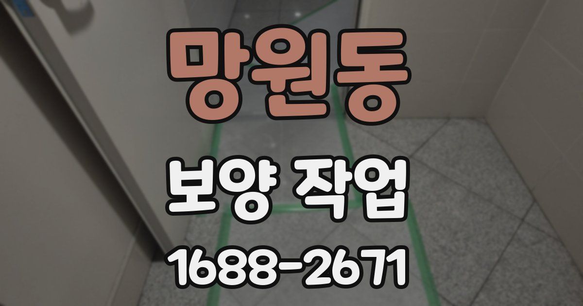 망원동 보양 작업