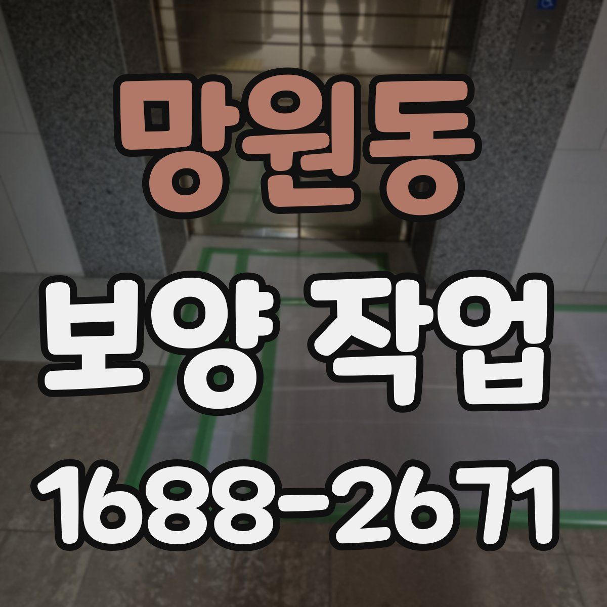 망원동 보양 작업