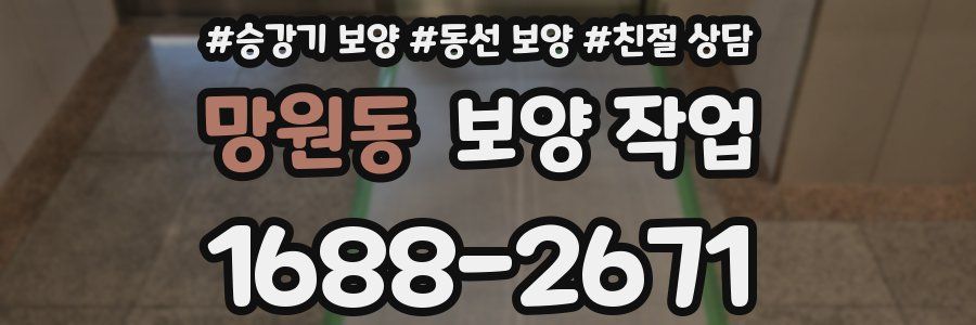 망원동 보양 작업