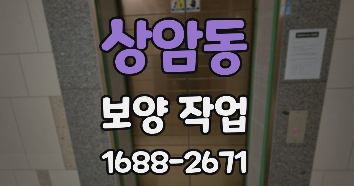 상암동 보양 작업