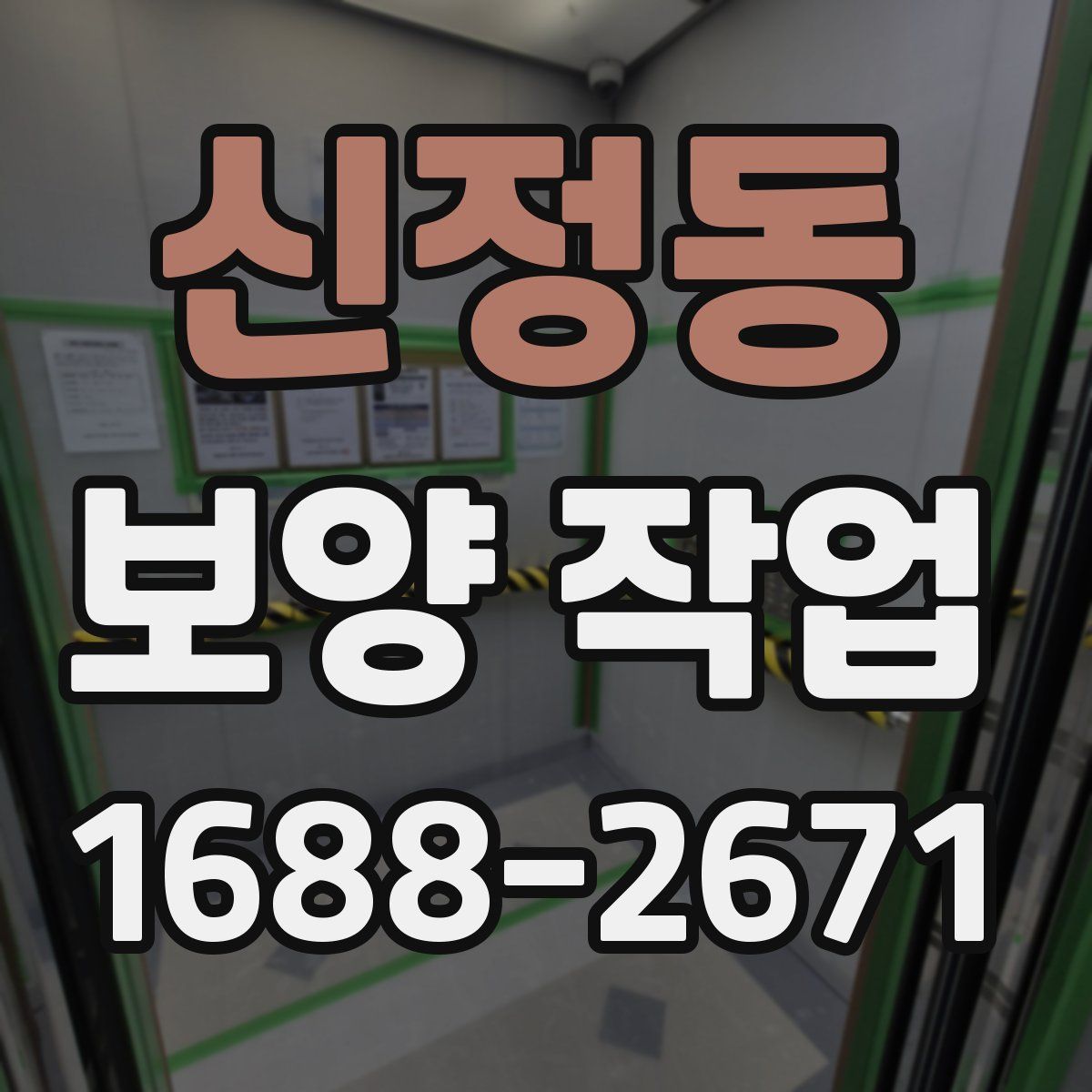 신정동 보양 작업