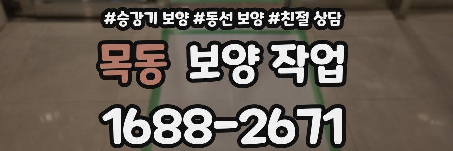 목동 보양 작업