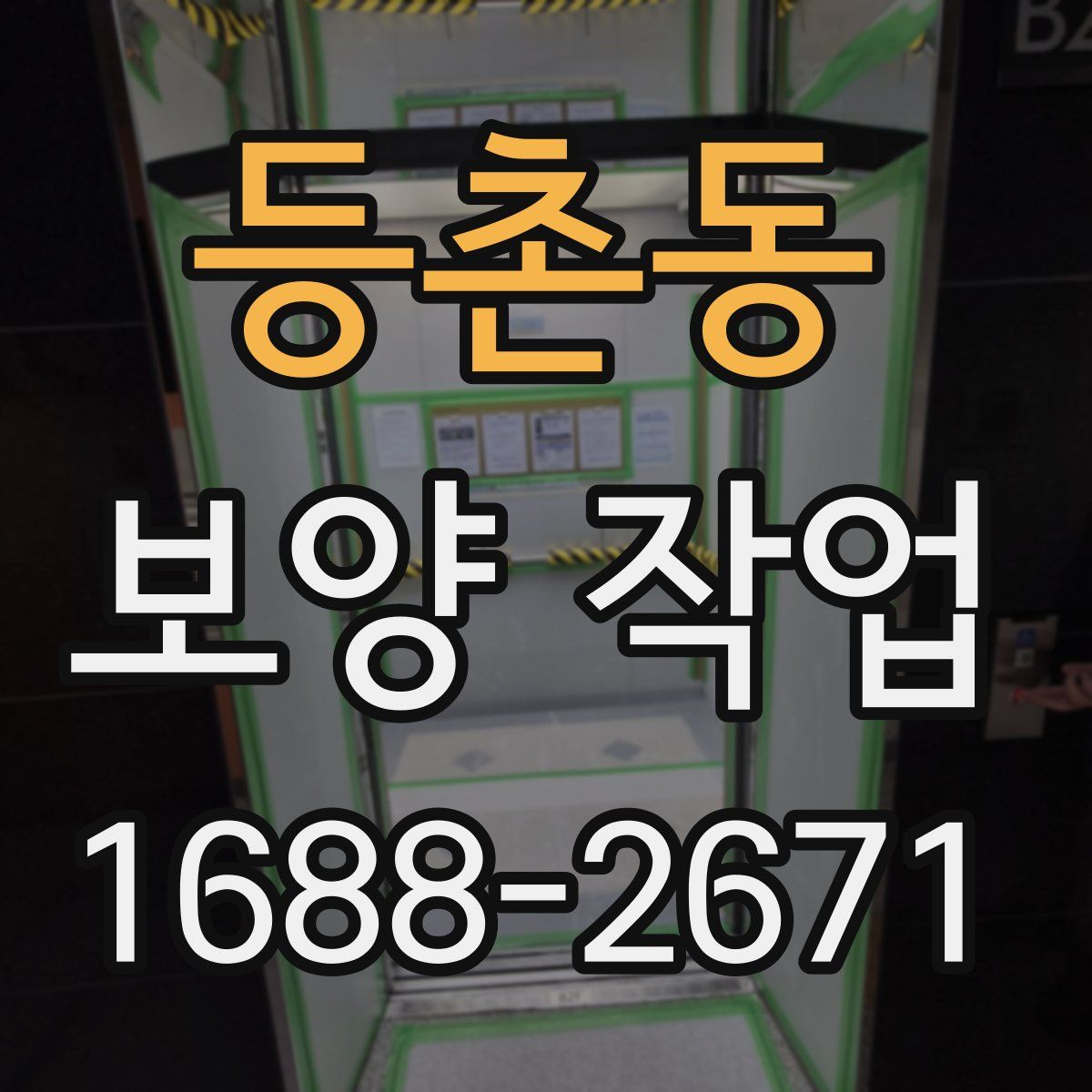 등촌동 보양 작업