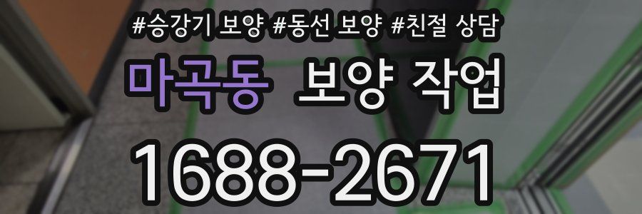 마곡동 보양 작업