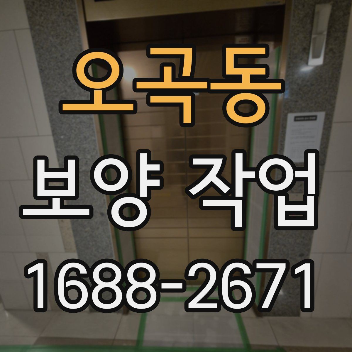 오곡동 보양 작업 시작 전 현장 상태 점검 포인트