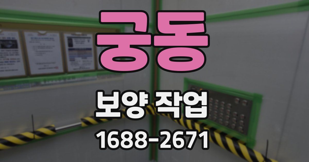 궁동 보양 작업