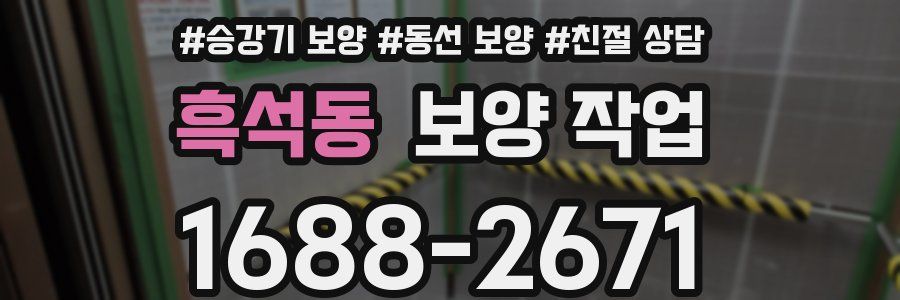 흑석동 보양 작업