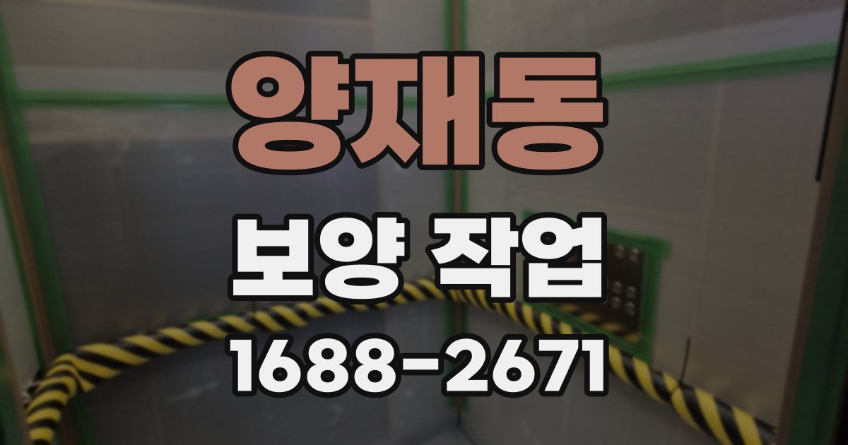 양재동 보양 작업
