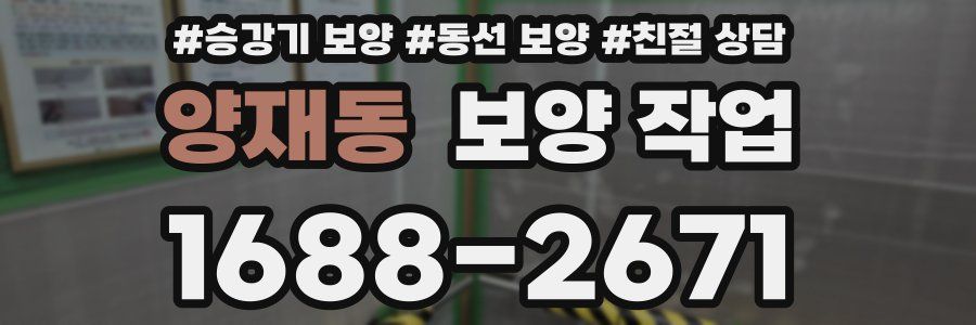 양재동 보양 작업