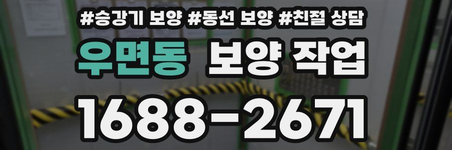 우면동 보양 작업