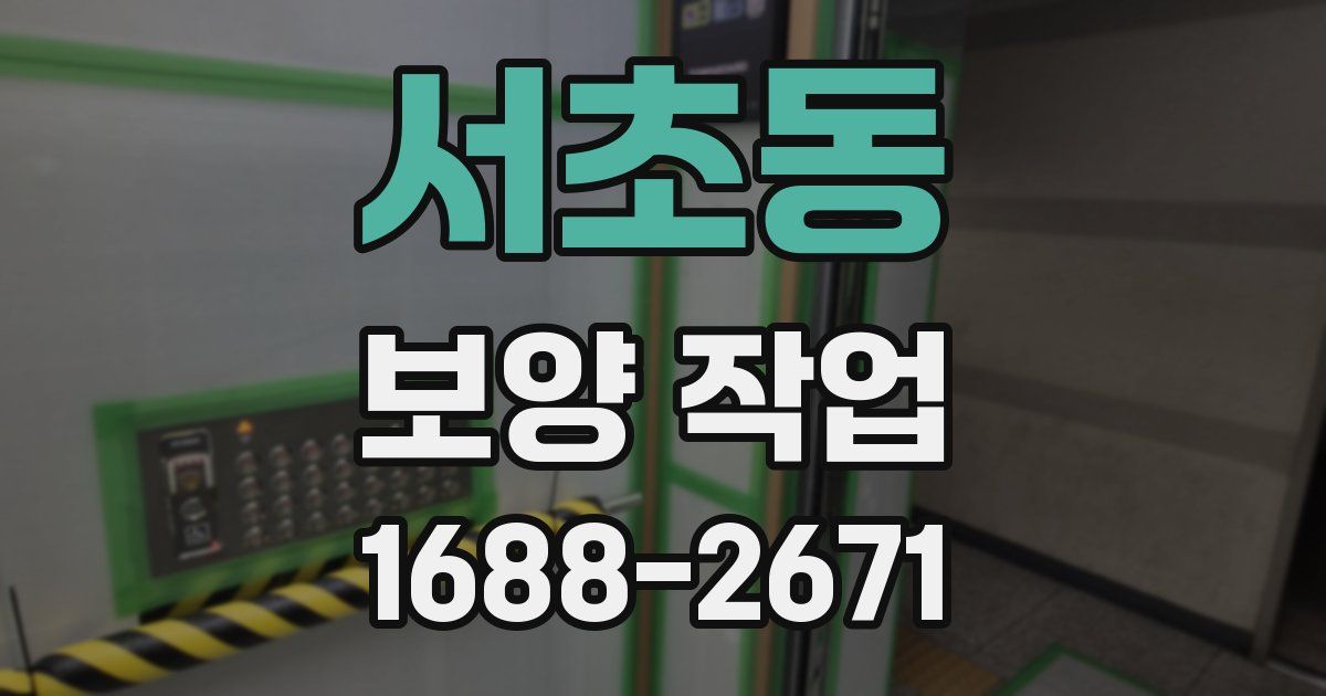 서초동 보양 작업