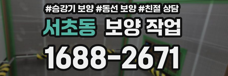 서초동 보양 작업