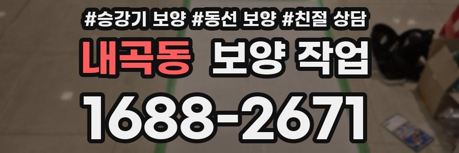 내곡동 보양 작업