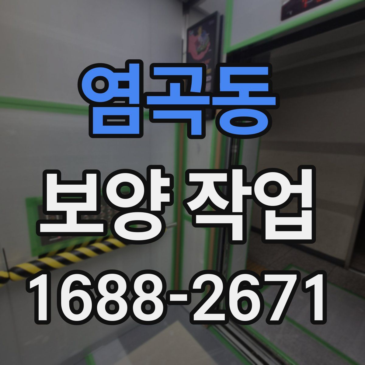 염곡동 보양 작업