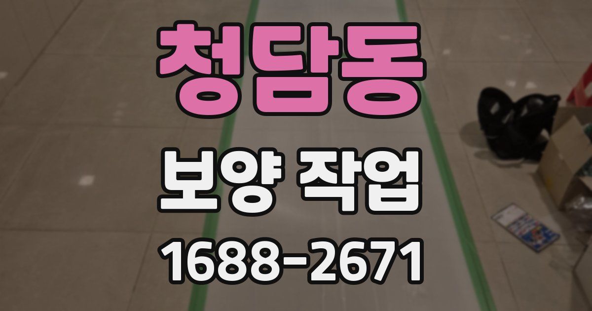 청담동 보양 작업