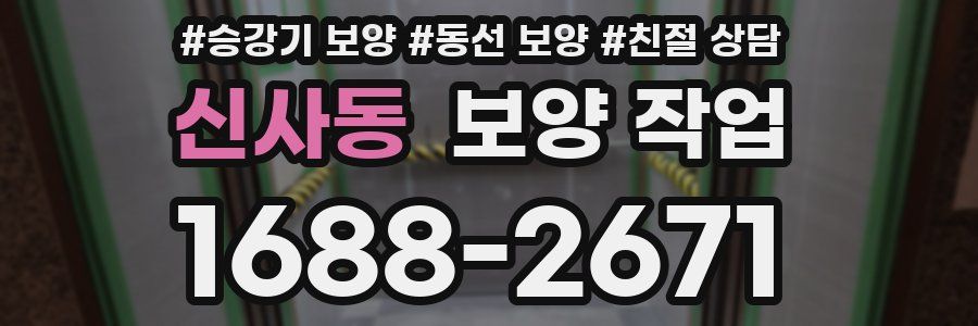 신사동 보양 작업