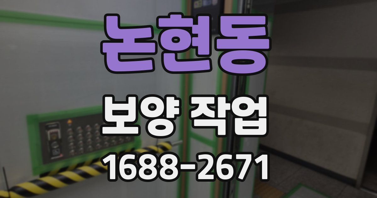 논현동 보양 작업