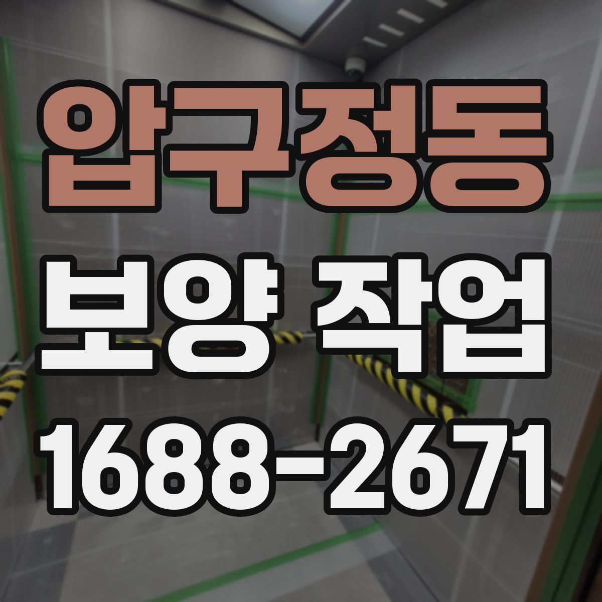 압구정동 보양 작업