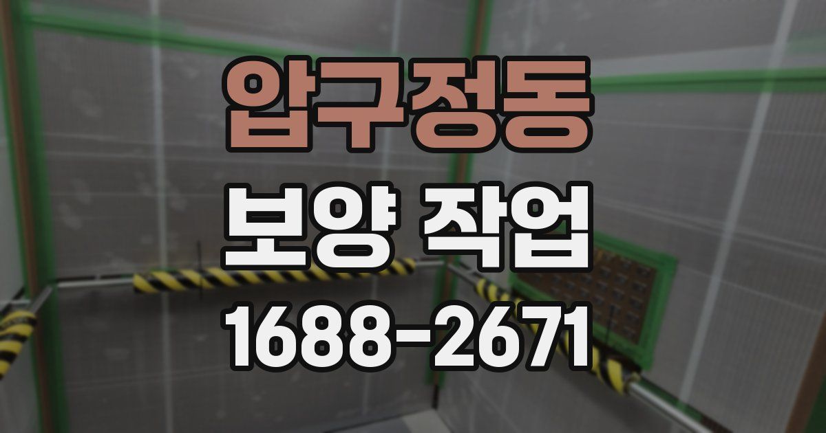 압구정동 보양 작업