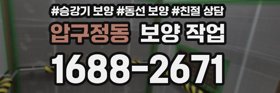 압구정동 보양 작업